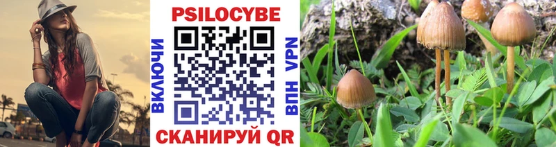 Псилоцибиновые грибы мухоморы Новоульяновск